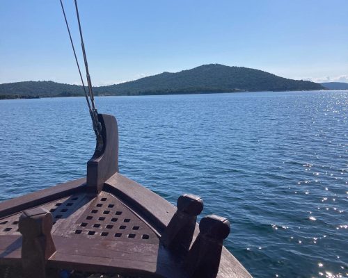 441291952_1146255540024327_4439993741973876828_n