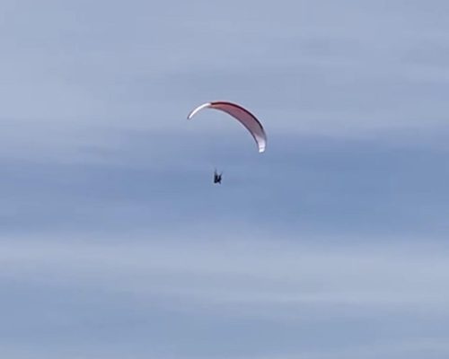 441401729_426238916998305_6978988548747239018_n