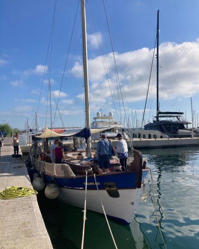 441494908_358138787279664_3442190411070928211_n