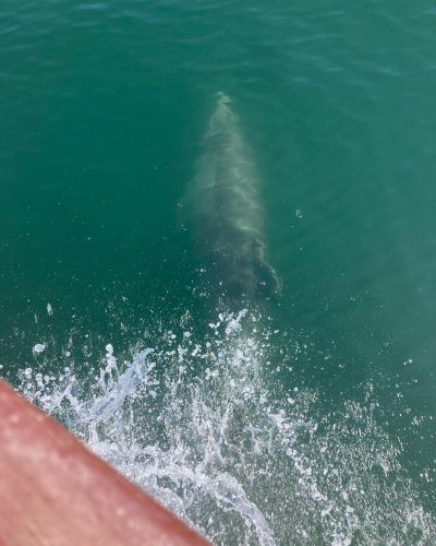 441885552_765728749091356_2468891073168280793_n