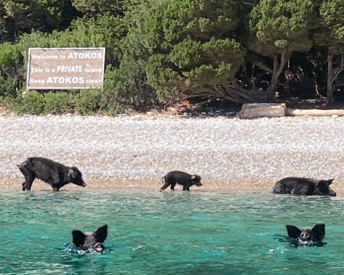 WhatsApp Image 2025-08-06 at 14.50.56 (1)