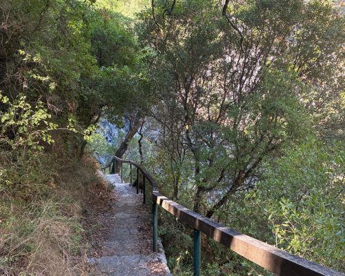 WhatsApp Image 2025-08-12 at 19.57.33