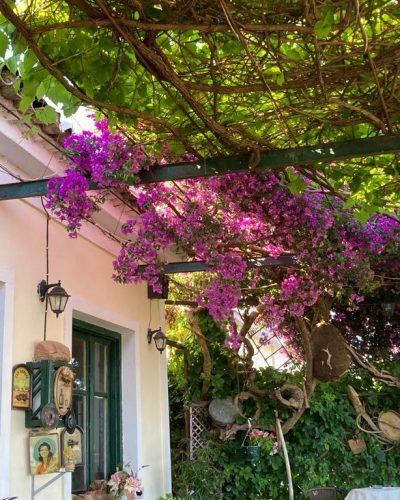 WhatsApp-Image-2022-02-14-at-10.44.09