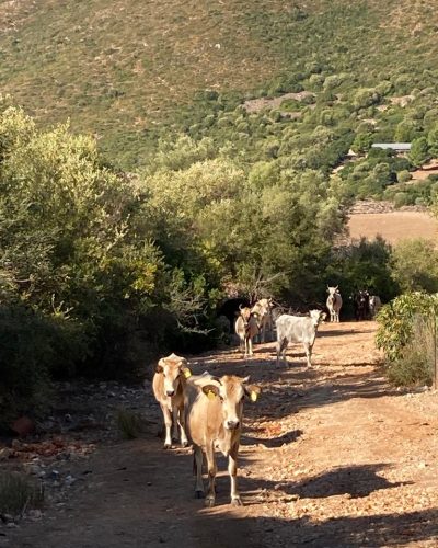 WhatsApp-Image-2022-02-16-at-15.01.15