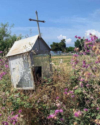 WhatsApp-Image-2023-07-10-at-13.44.36