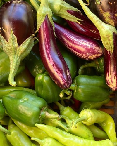 WhatsApp Image 2024-06-03 at 09.23.41 (1)